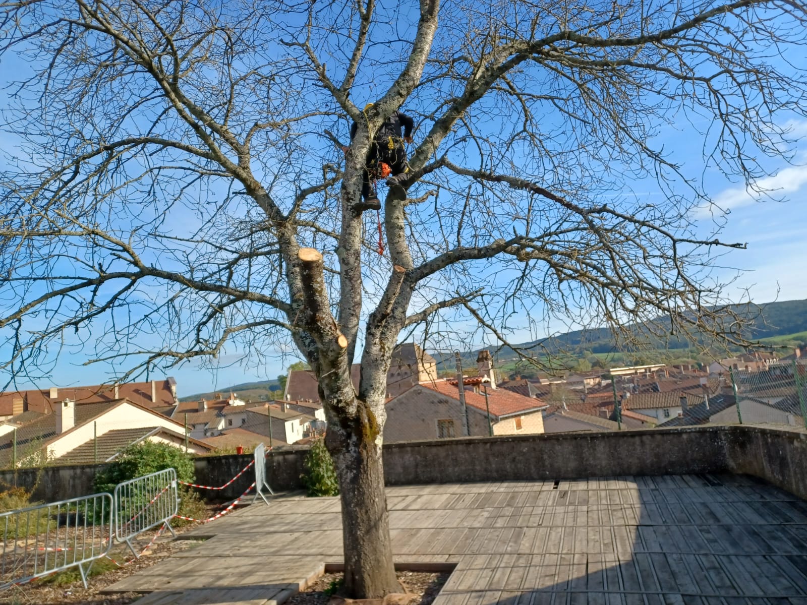 abattage delicat à Cluny
