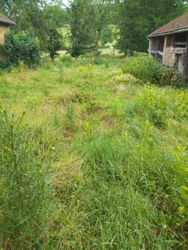 jardinage entretien maison secondaire Paysagiste à Cluny 71