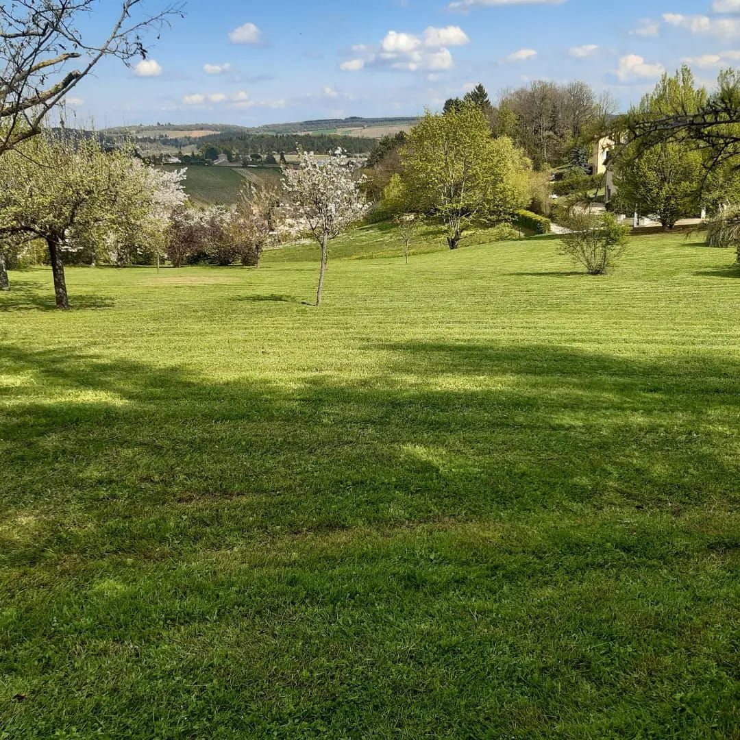 tonte avec ramassage après Paysagiste à Cluny 71