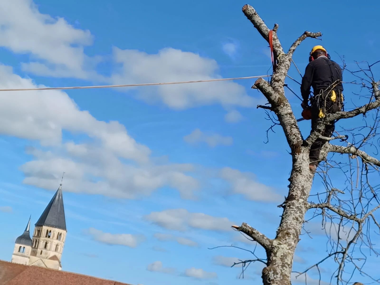 paysagiste cluny elagage arbre