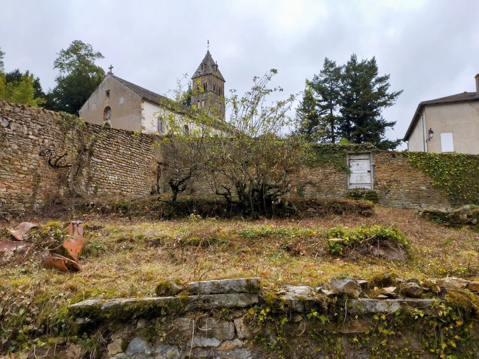 débroussaillage broyage et nettoyage jardin cluny