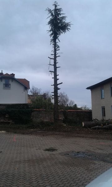 paysagiste cluny 71 abattage