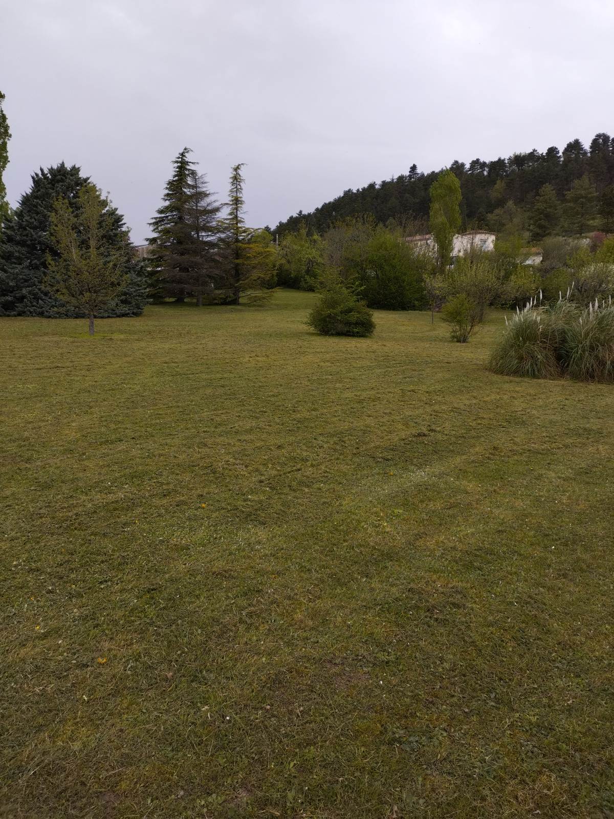 tonte avec ramassage après Paysagiste à Cluny 71