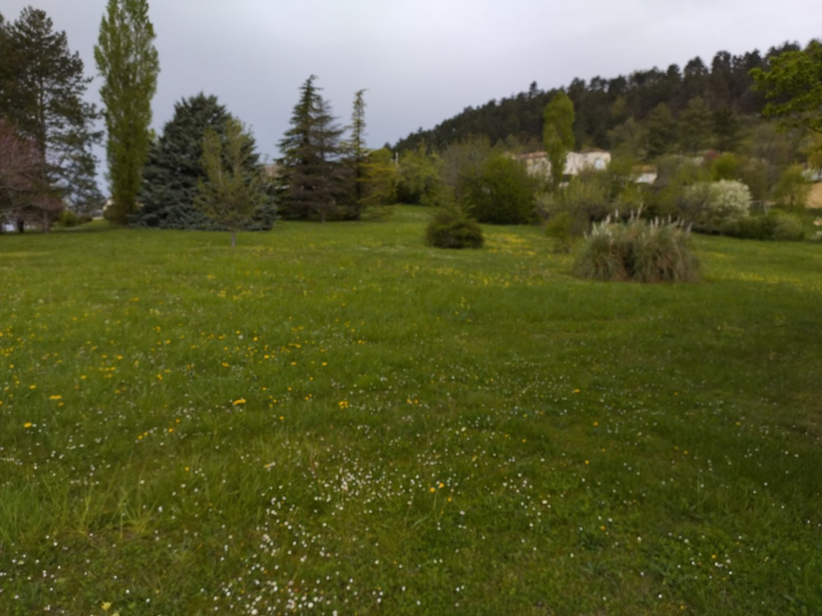 tonte avec ramassage Paysagiste à Cluny 71